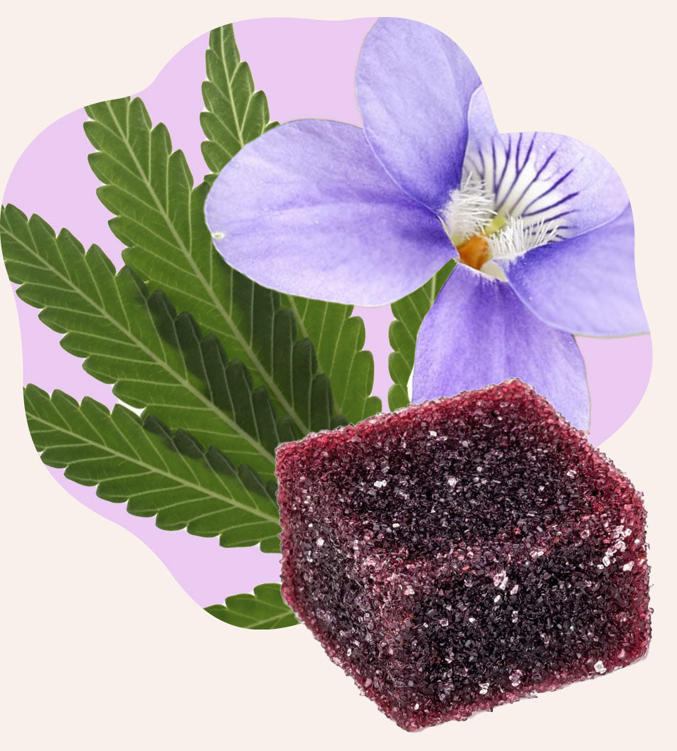 Gummies au CBD Relax - Stress et anxiété